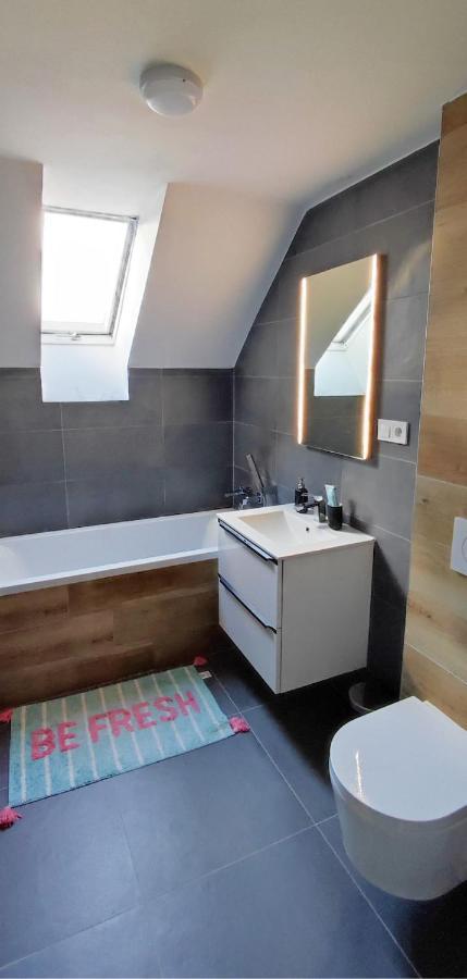 리베레츠 Apartman Pod Jestedem 아파트 외부 사진